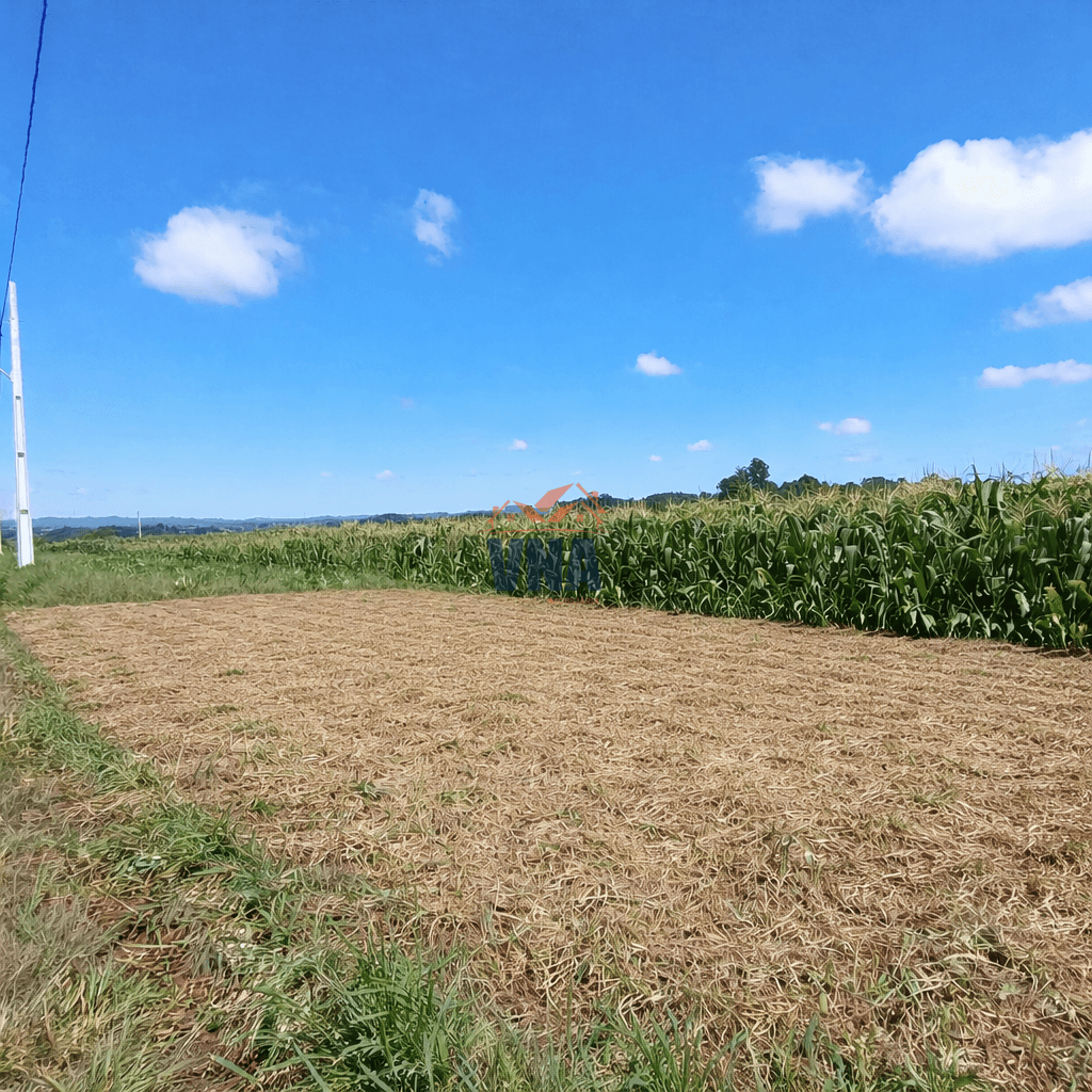 Terreno à venda no Bairro Pioneiro em Pinhalzinho/SC