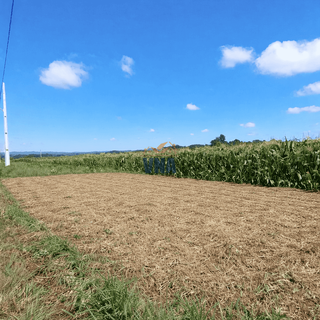 Terreno à venda no Bairro Pioneiro em Pinhalzinho/SC