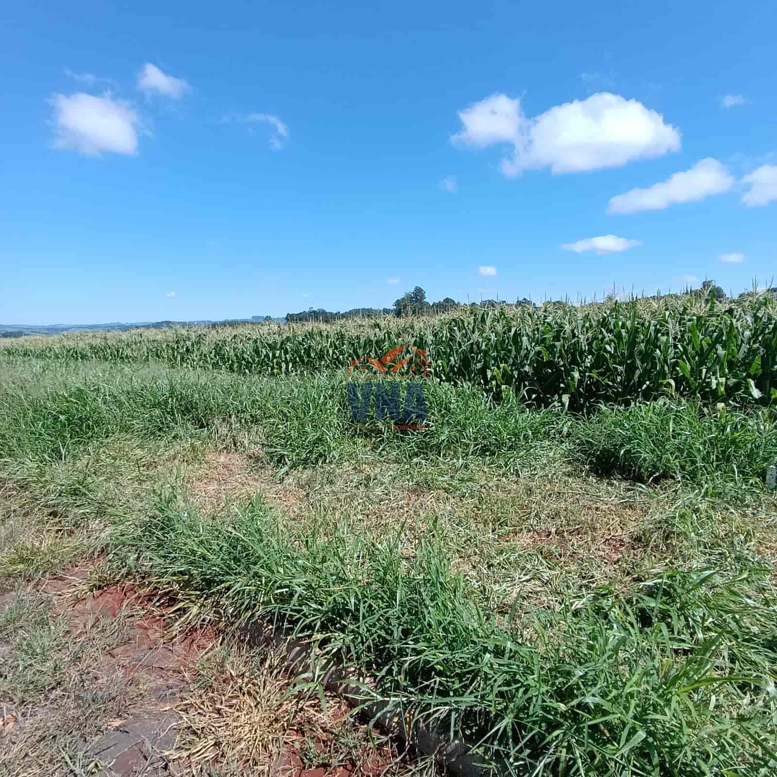 Terreno à venda no Bairro Pioneiro em Pinhalzinho/SC