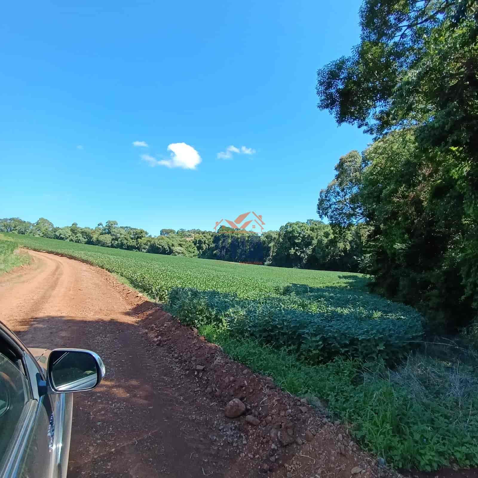 🌳 ÁREA DE TERRA À VENDA – BOM JESUS DO OESTE/SC OPORTUNIDADE PARA PRODUÇÃO E INVESTIMENTO! 🚜