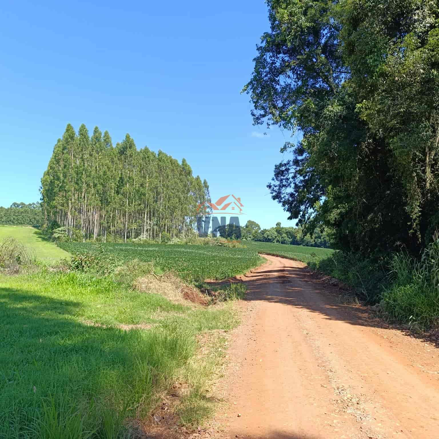🌳 ÁREA DE TERRA À VENDA – BOM JESUS DO OESTE/SC OPORTUNIDADE PARA PRODUÇÃO E INVESTIMENTO! 🚜