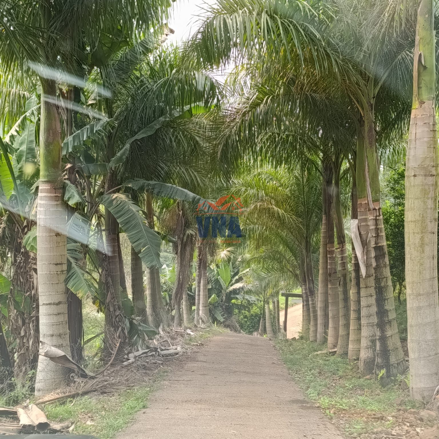 Chacara e Venda Linha Sao Sebastiao, Pinhalzinho SC