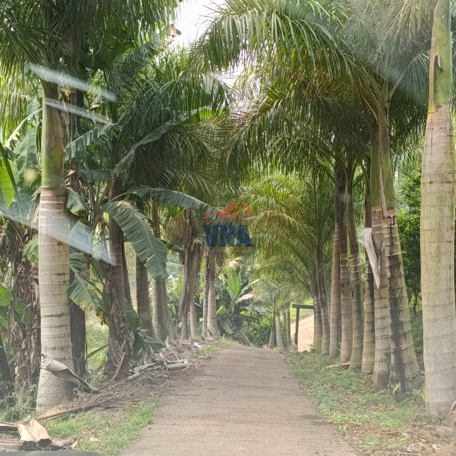 Chacara e Venda Linha Sao Sebastiao, Pinhalzinho SC