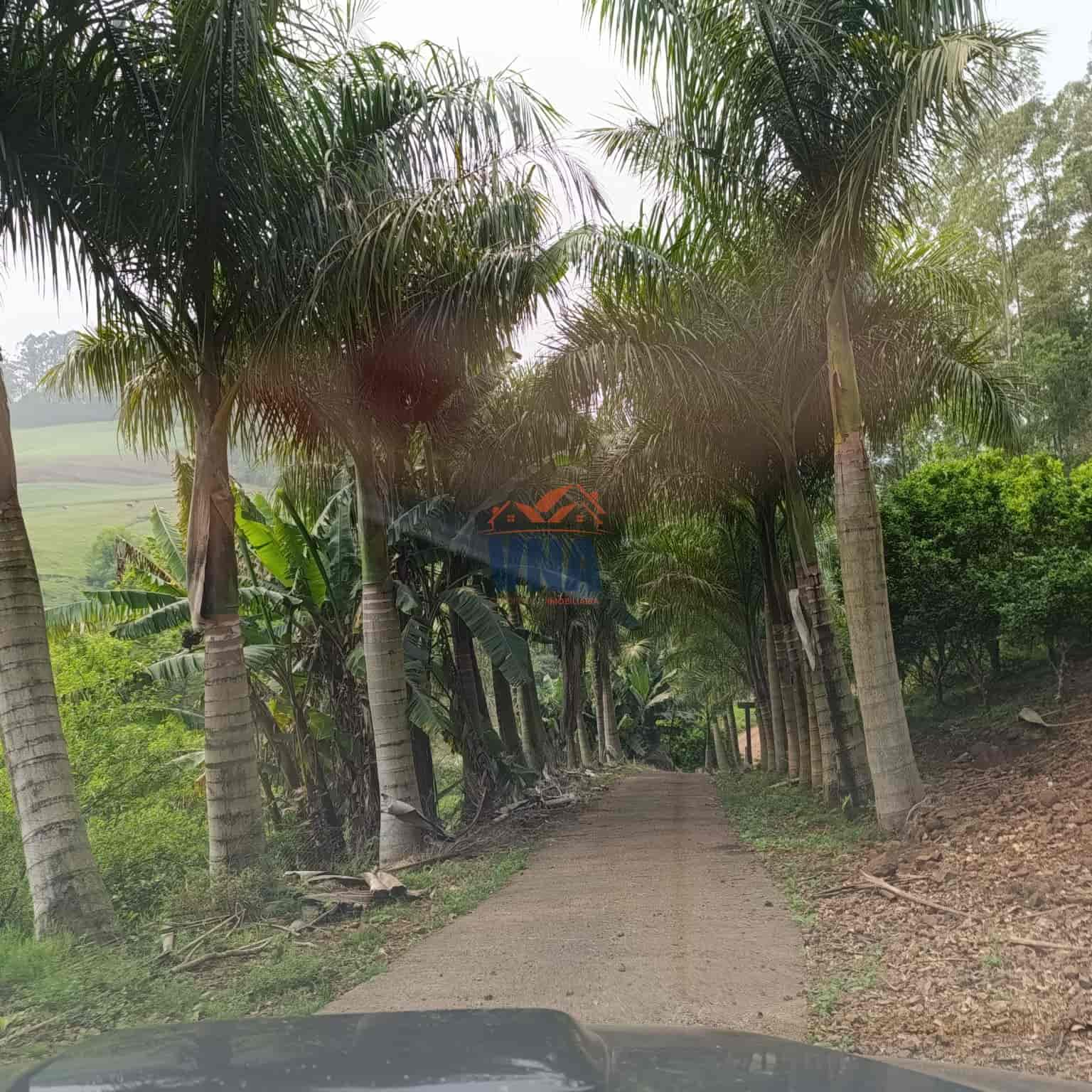 Chacara e Venda Linha Sao Sebastiao, Pinhalzinho SC