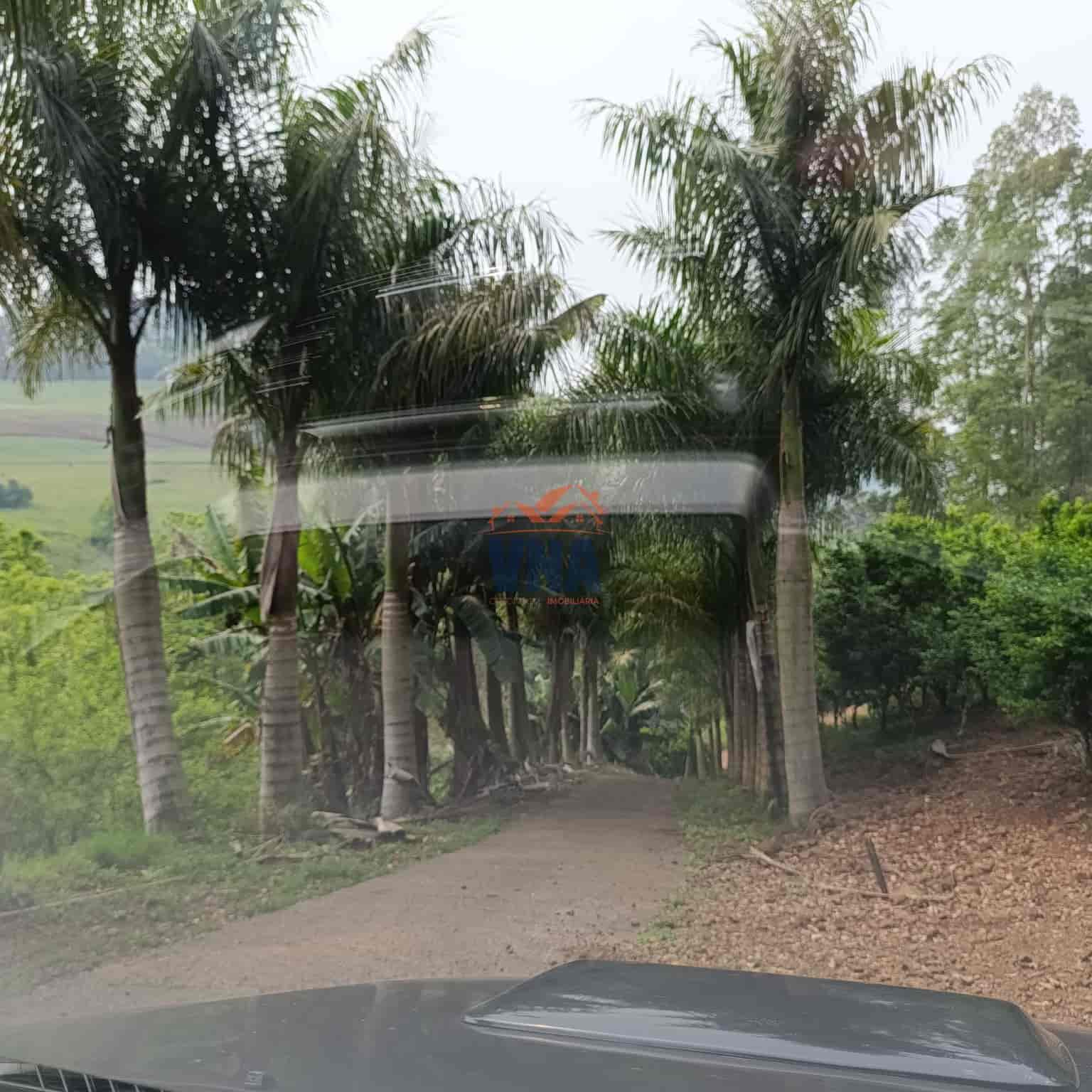 Chacara e Venda Linha Sao Sebastiao, Pinhalzinho SC