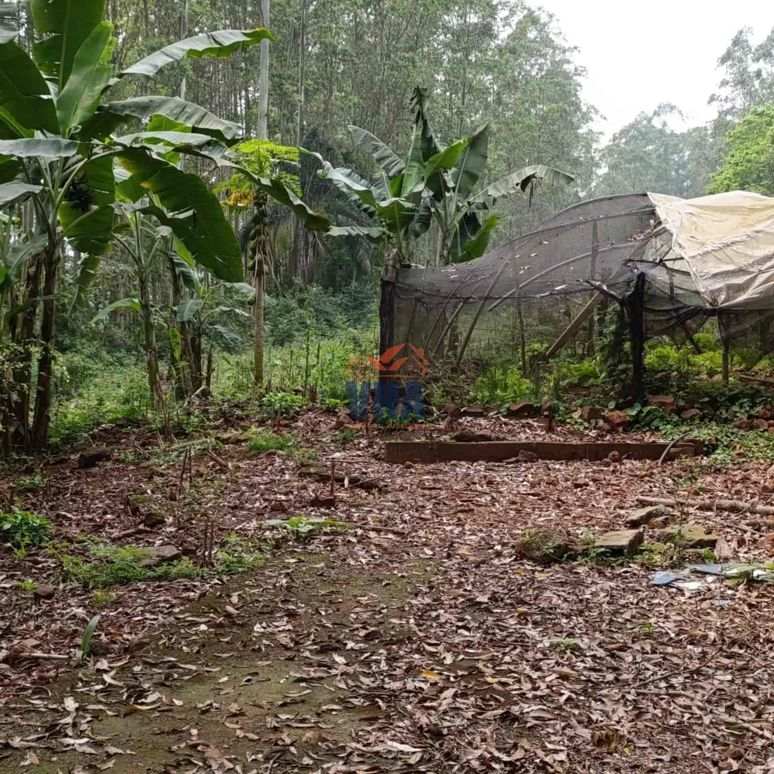 Chacara e Venda Linha Sao Sebastiao, Pinhalzinho SC
