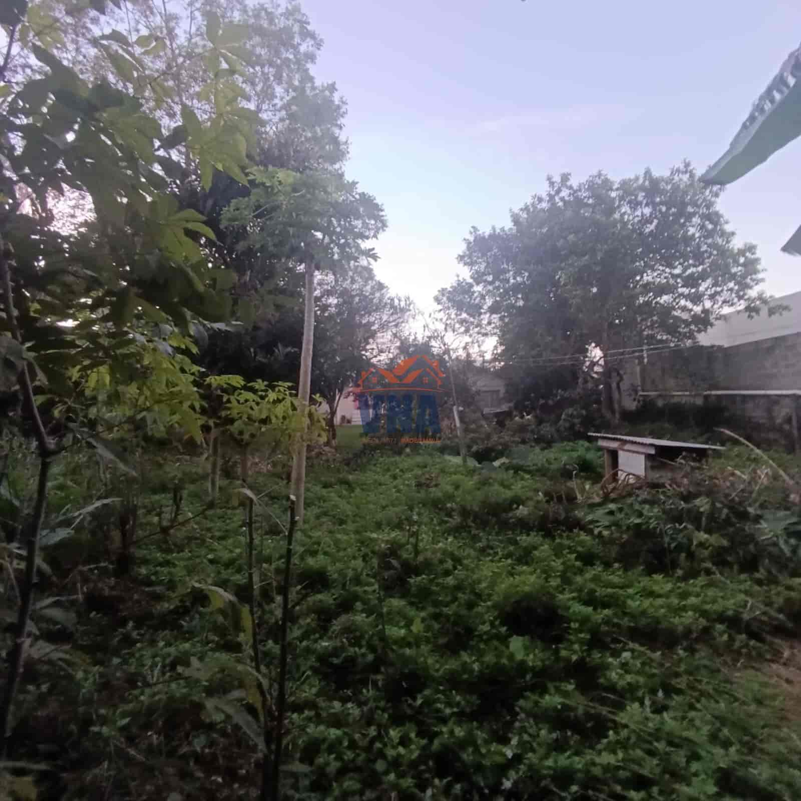 Terreno para empreendimento no centro de Pinhalzinho SC