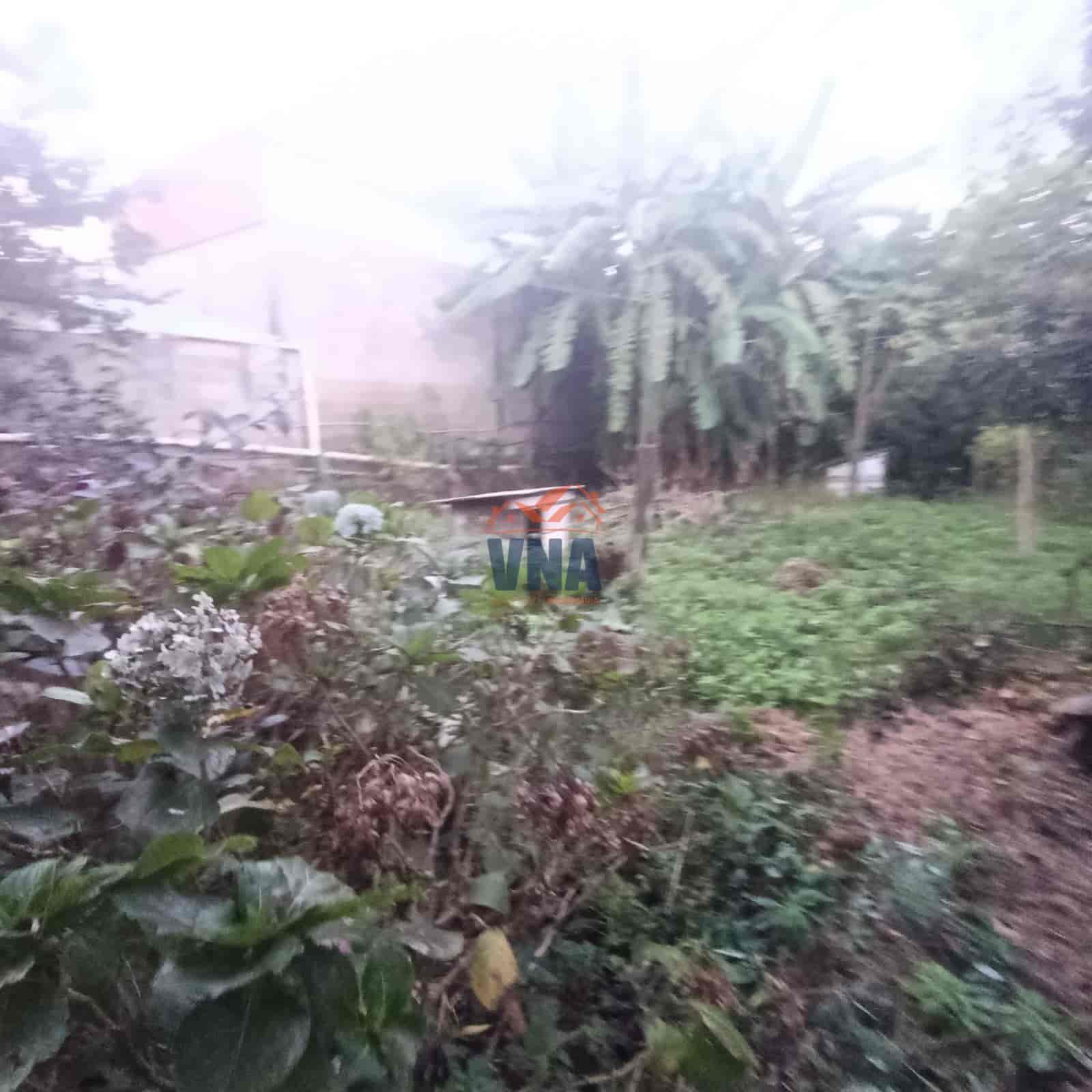 Terreno para empreendimento no centro de Pinhalzinho SC