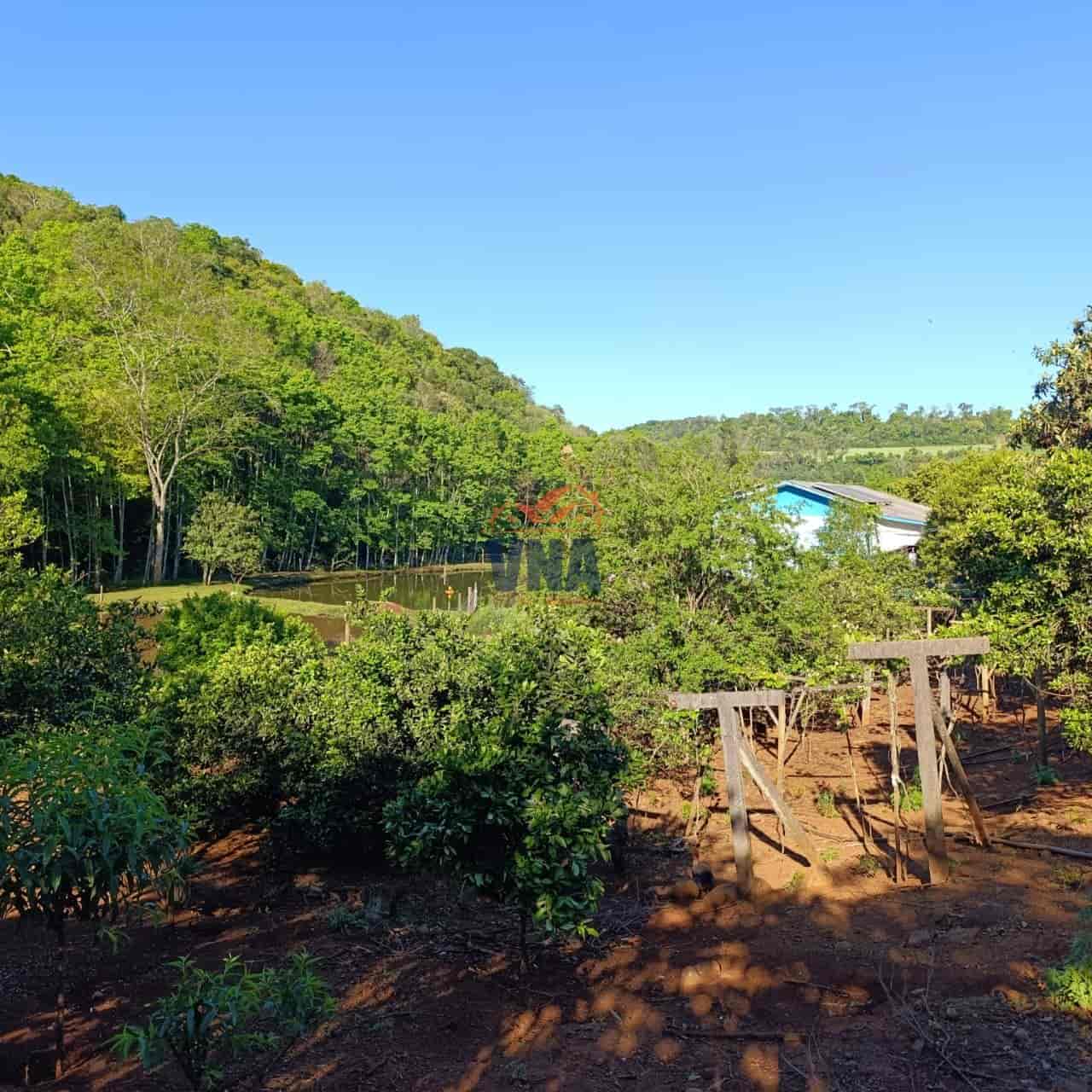 Propriedade Rural à Venda – Pinhalzinho/SC | Linha Galeazzi