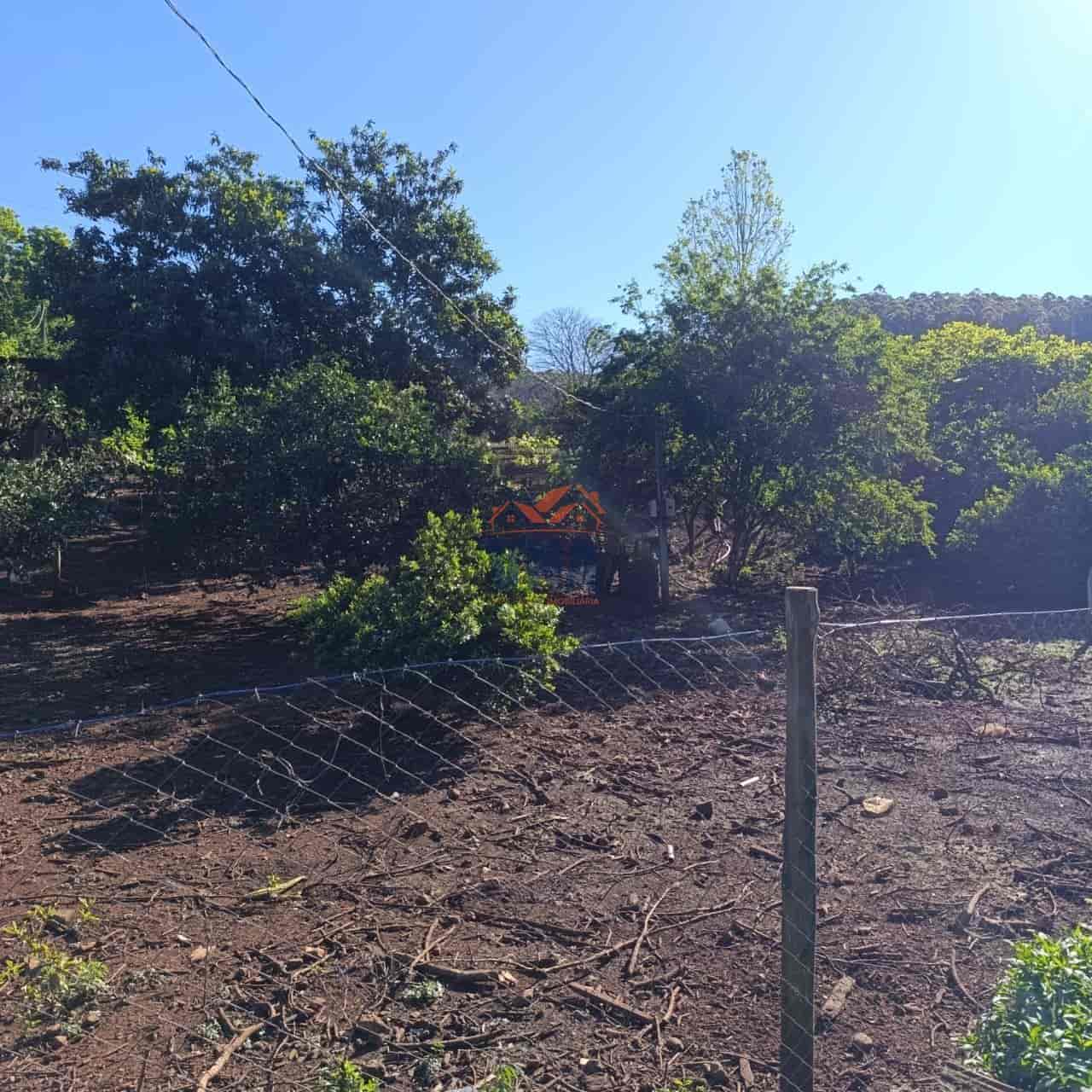 Propriedade Rural à Venda – Pinhalzinho/SC | Linha Galeazzi