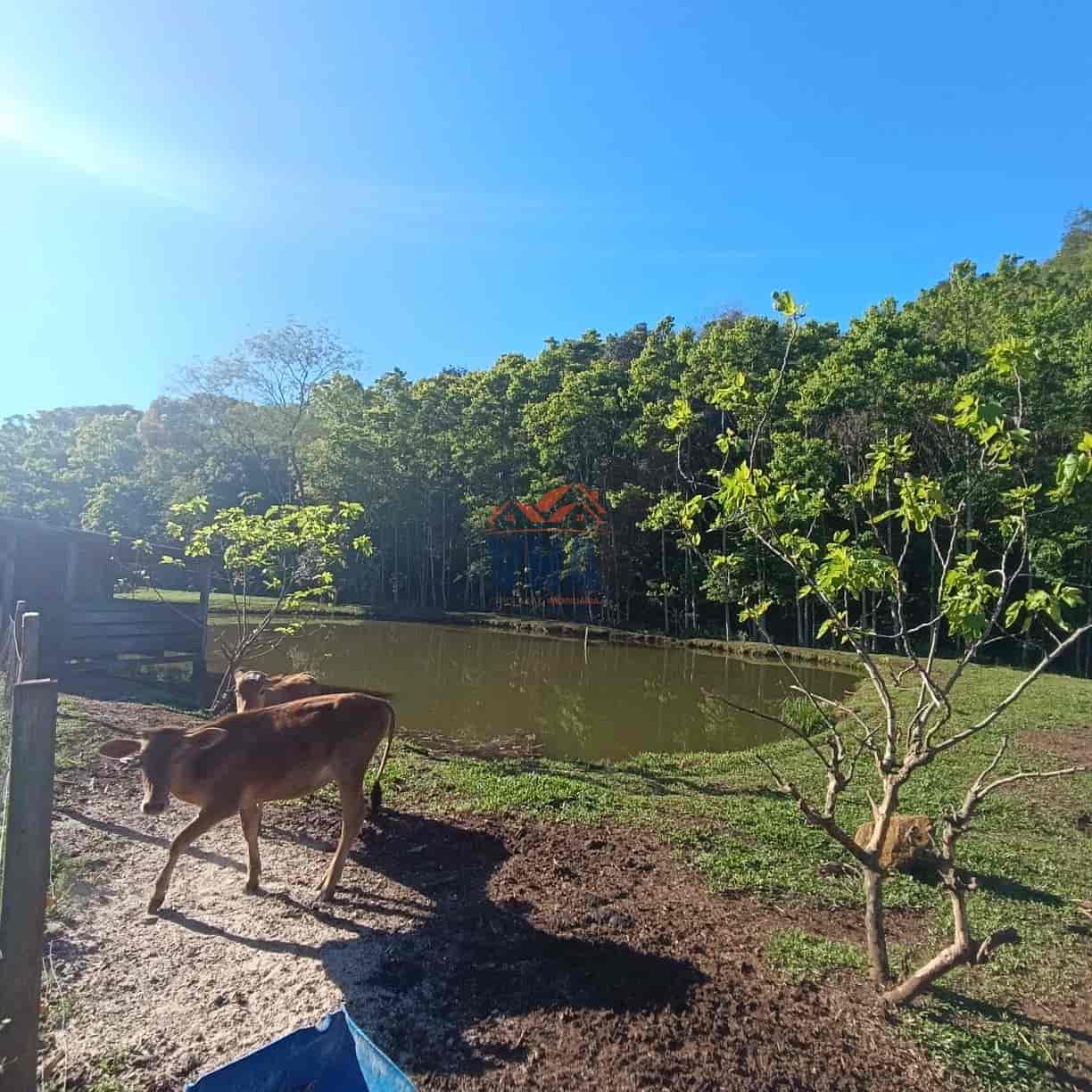 Propriedade Rural à Venda – Pinhalzinho/SC | Linha Galeazzi