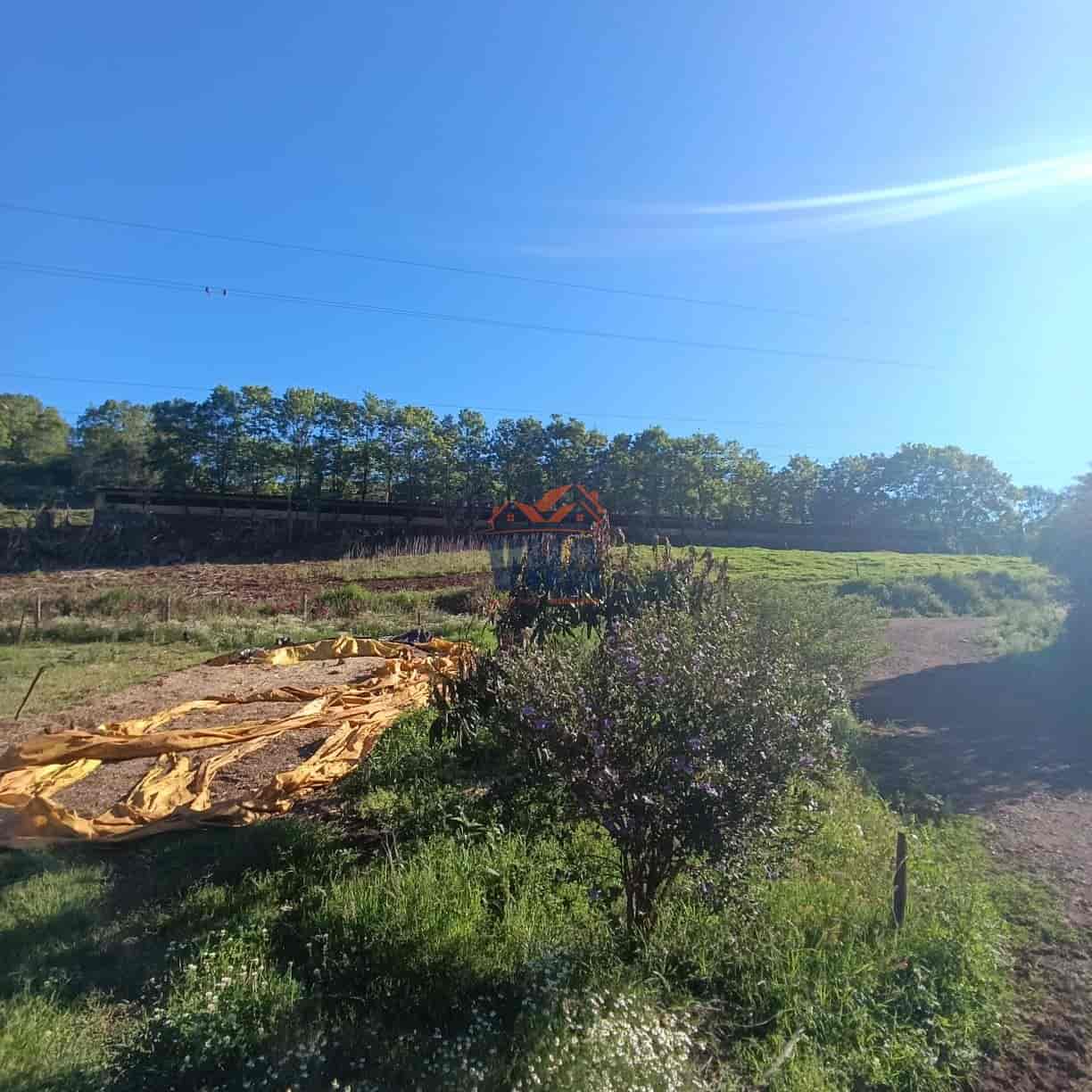 Propriedade Rural à Venda – Pinhalzinho/SC | Linha Galeazzi