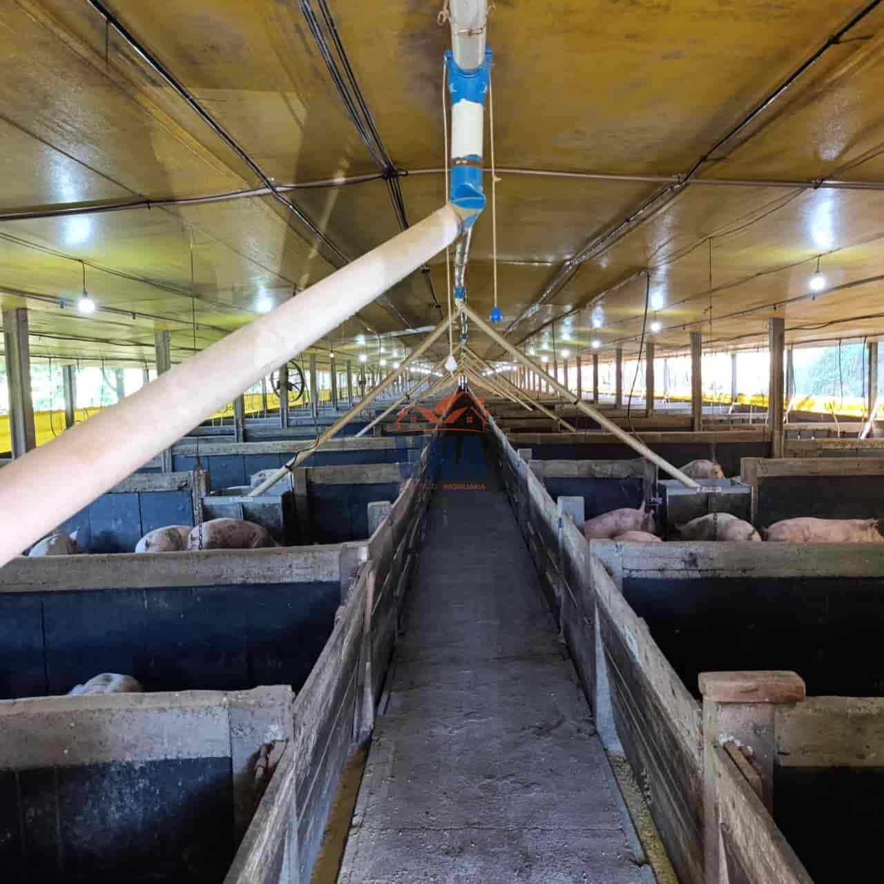 Propriedade Rural à Venda – Pinhalzinho/SC | Linha Galeazzi