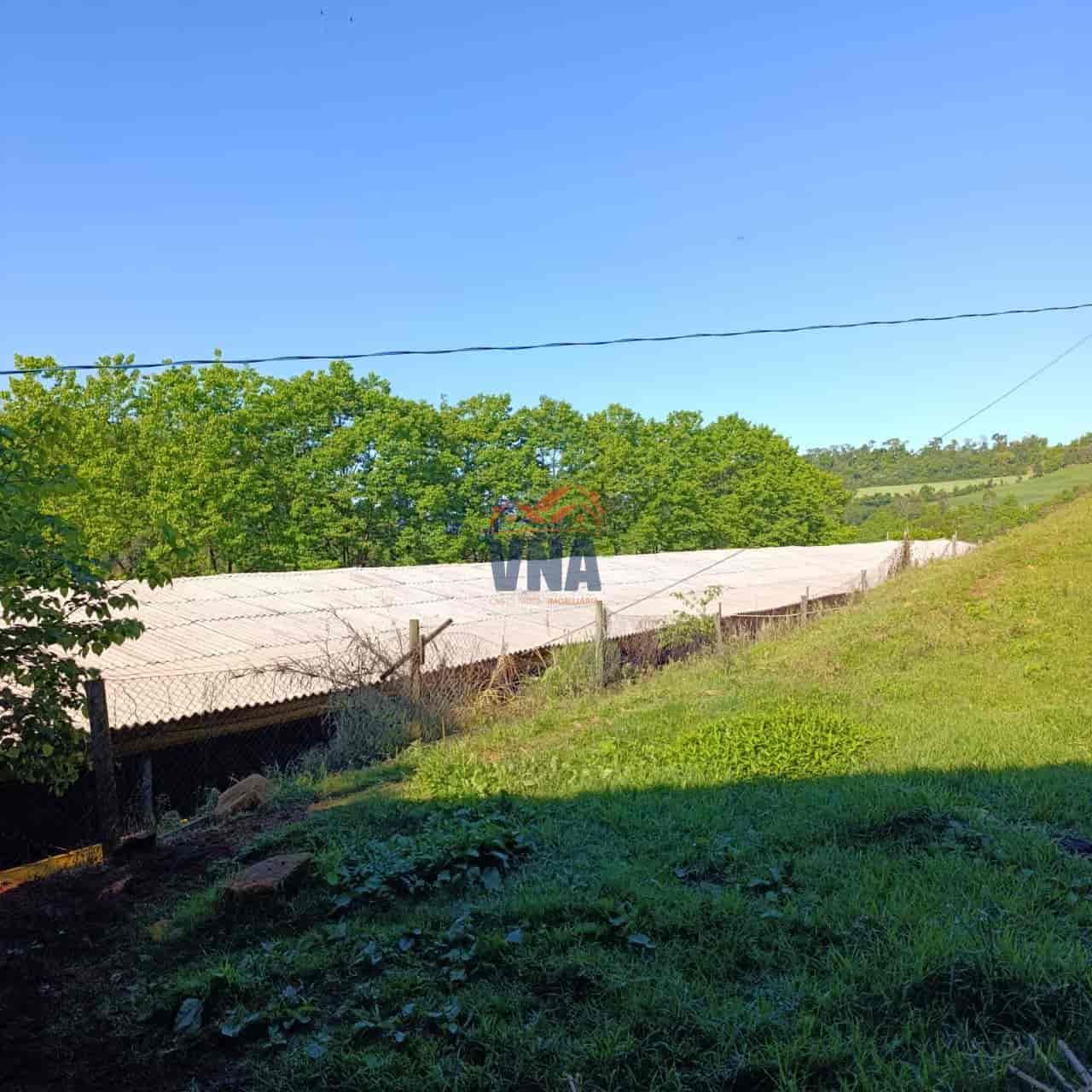 Propriedade Rural à Venda – Pinhalzinho/SC | Linha Galeazzi