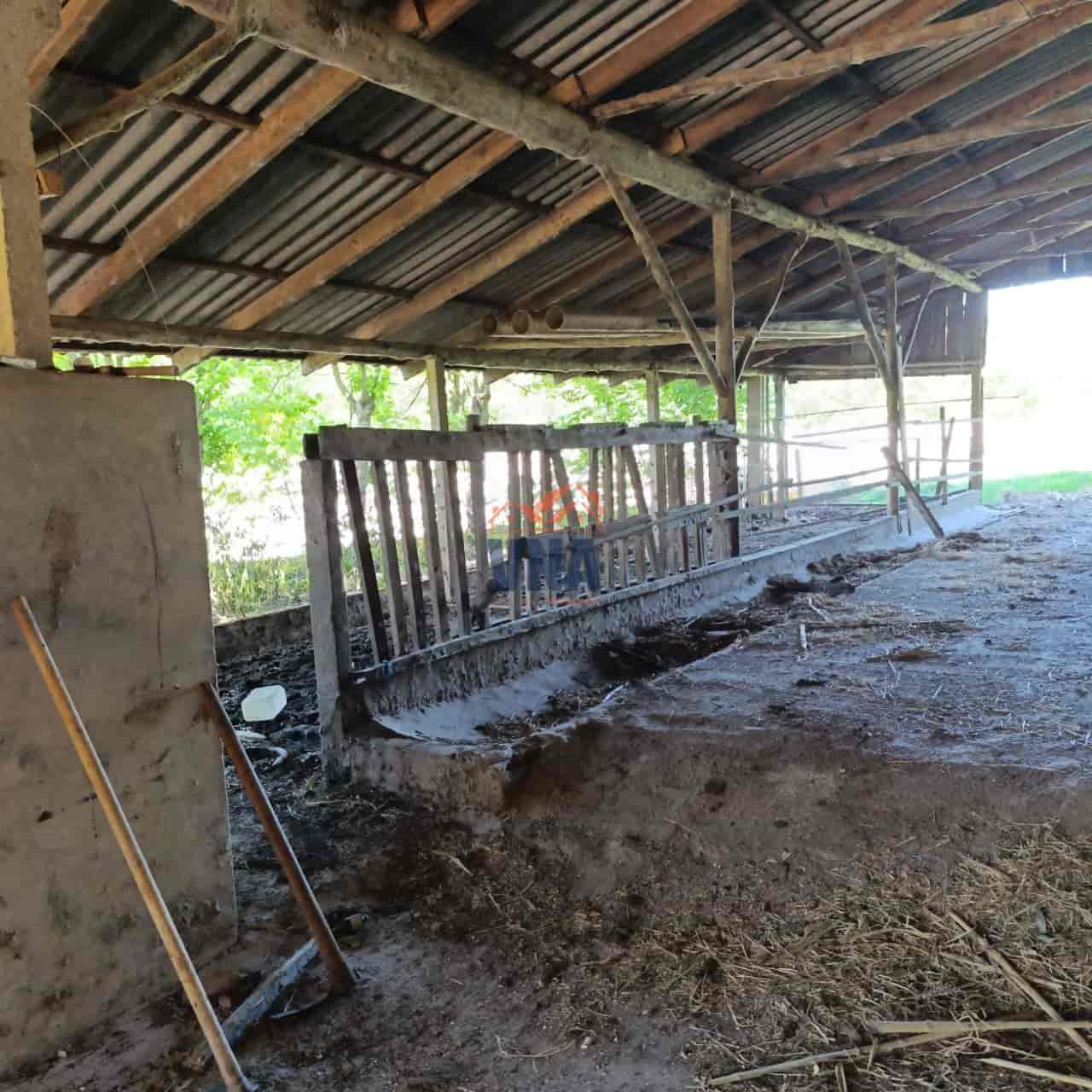 Propriedade Rural à Venda – Pinhalzinho/SC | Linha Galeazzi