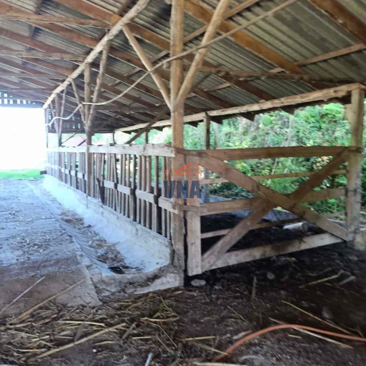 Propriedade Rural à Venda – Pinhalzinho/SC | Linha Galeazzi