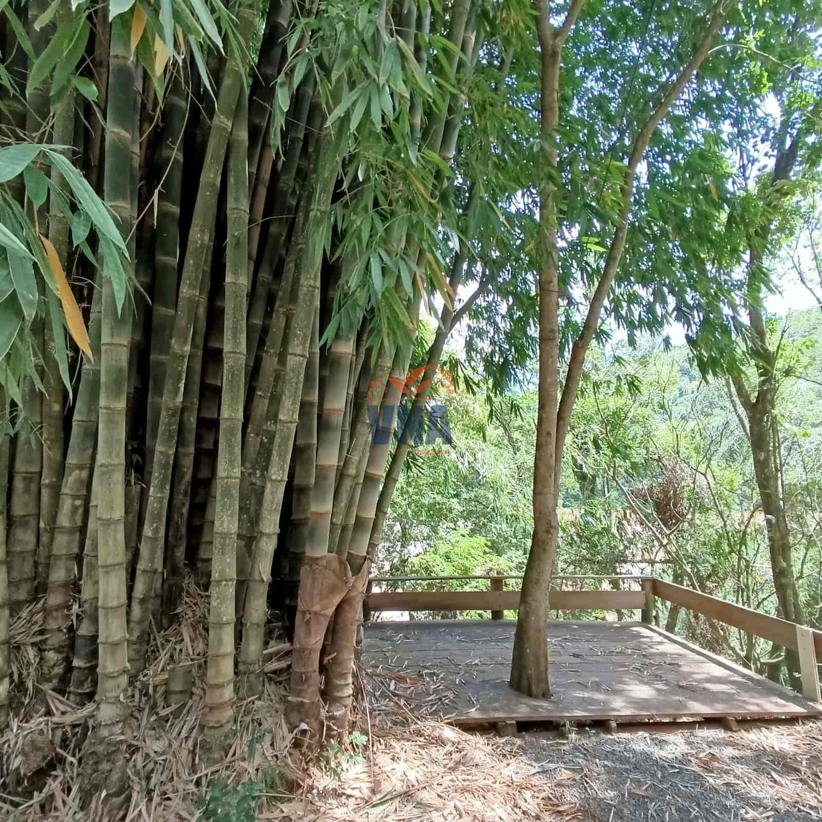 CHÁCARA EM NOVA ERECHIM/SC 📍