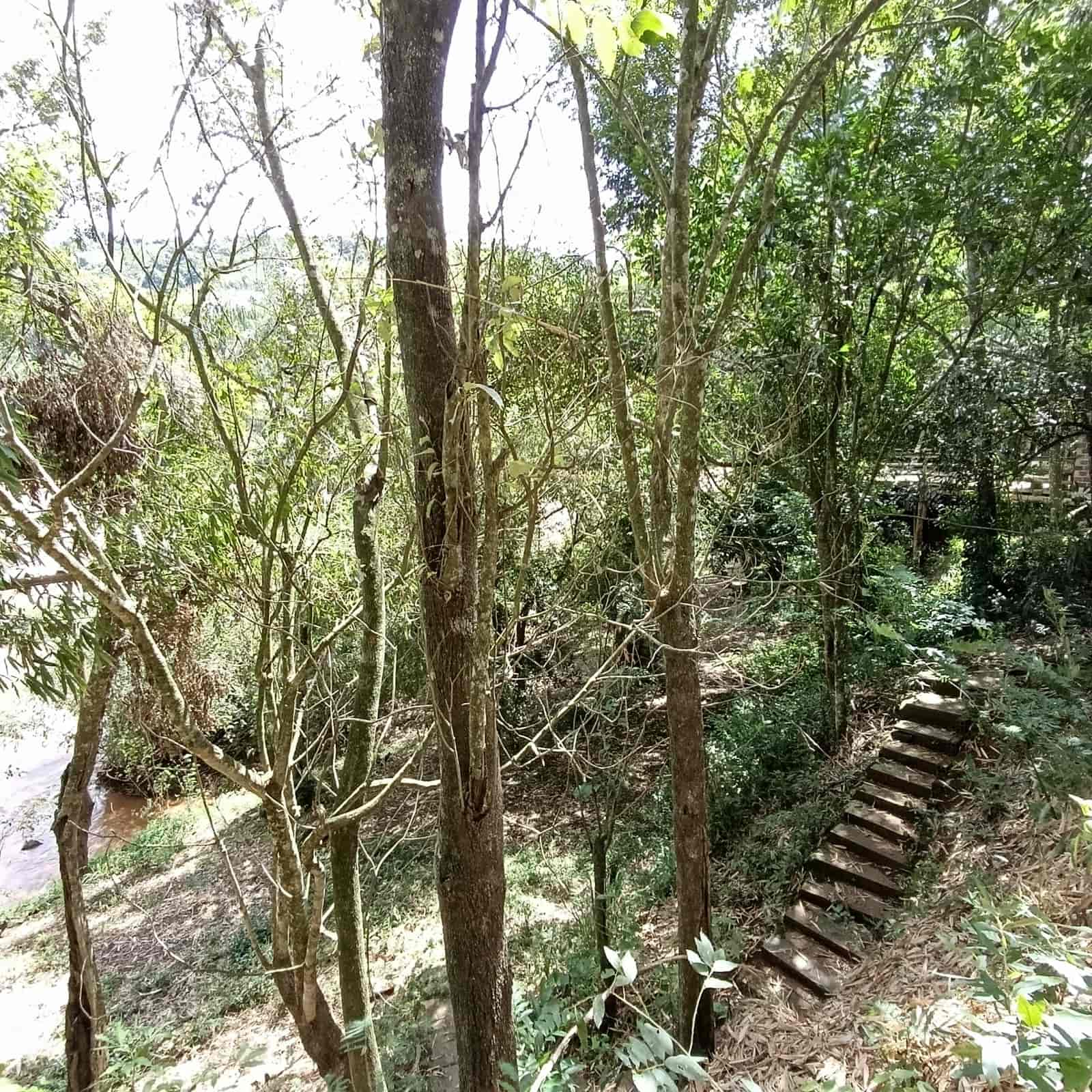 CHÁCARA EM NOVA ERECHIM/SC 📍